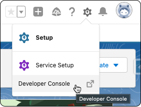 Access the Developer Console in Salesforce