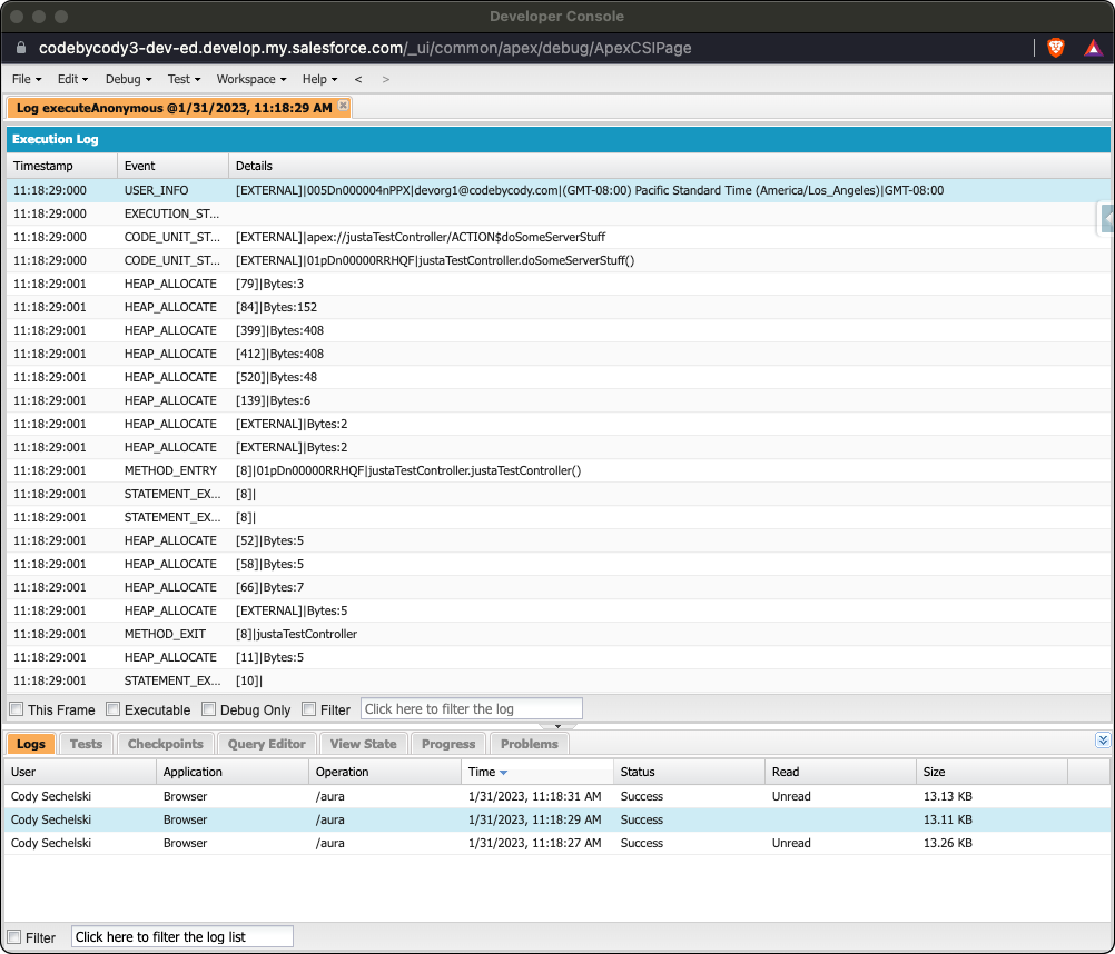 View Apex Debug Logs Locally