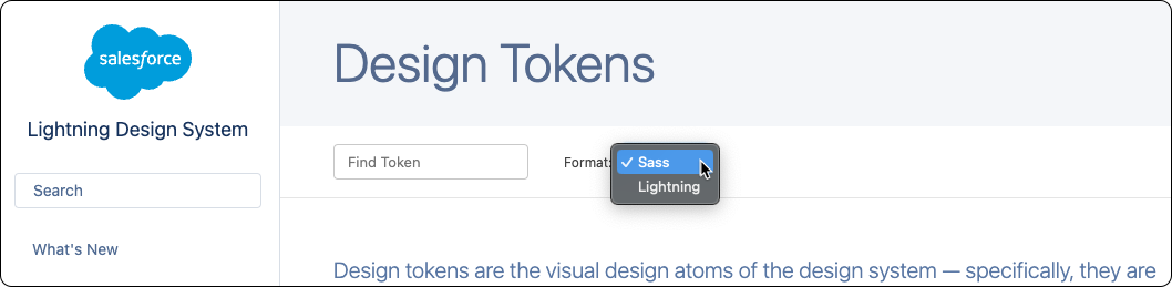 Lightning Design System Website showing Format Options
